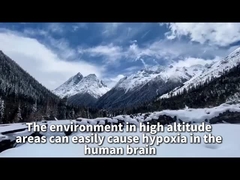 เครื่องผลิตออกซิเจนแบบแพลตฟอร์ม