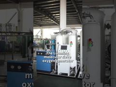 Luoming Molecular Sieve Oxygen Generator สําหรับโรงแรม ที่สูง โรงพยาบาล และบ้านพักผู้สูงอายุ