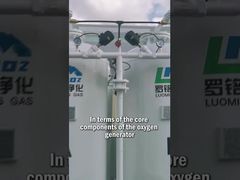 เครื่องกำเนิดออกซิเจน Luoming - ส่วนประกอบหลักและการออกแบบระบบ